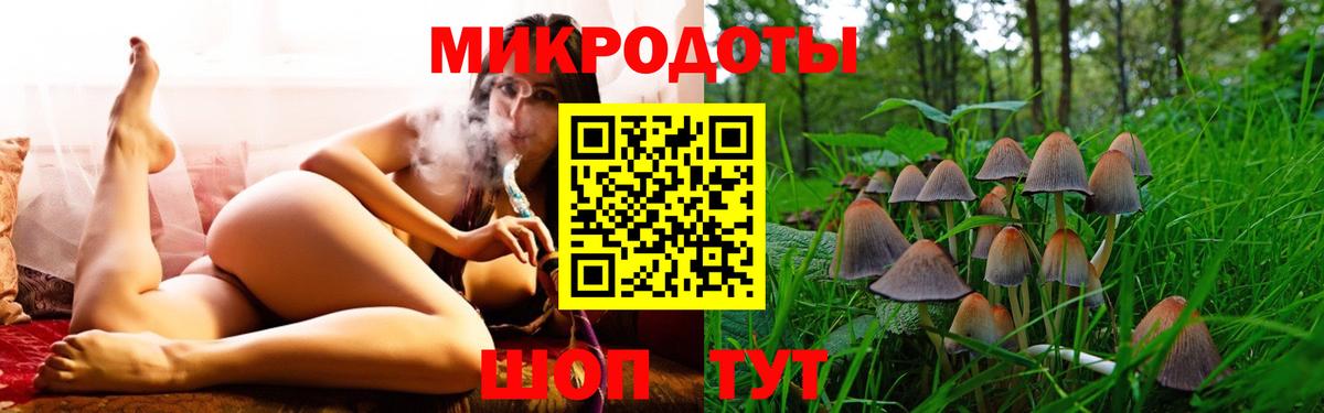 Псилоцибиновые грибы Psilocybine cubensis Лиски